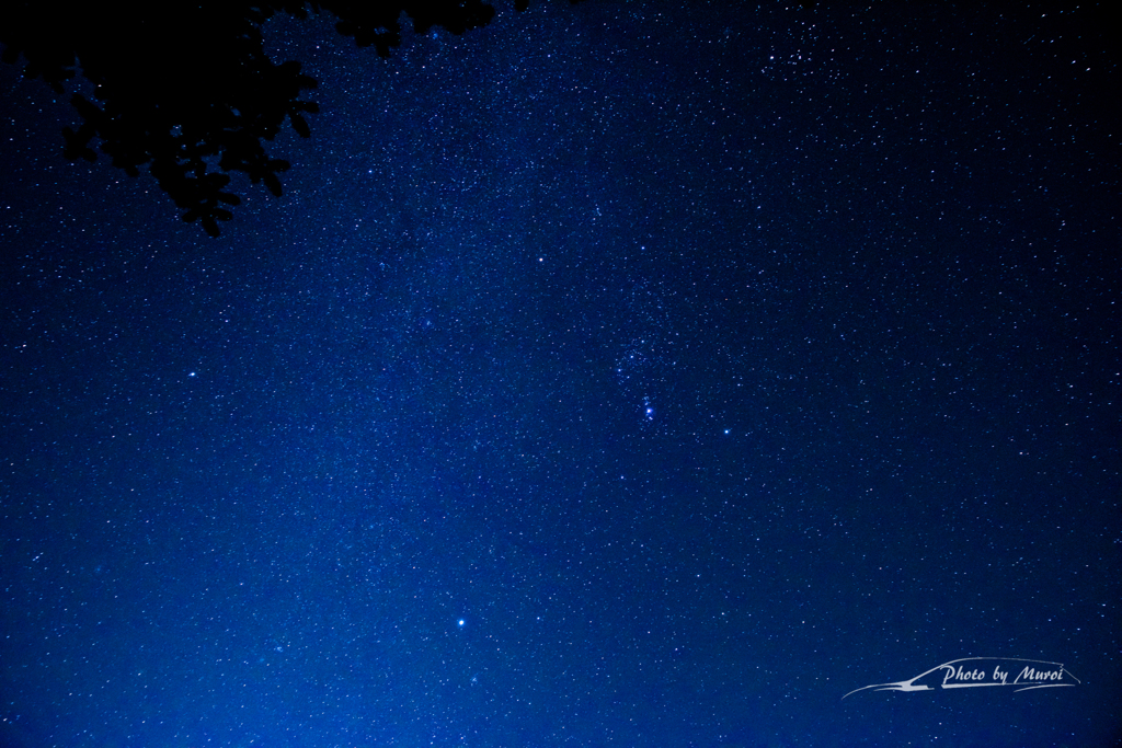 NIKON D810-20151025-030331-0