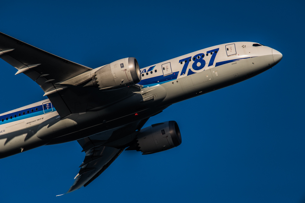 20151205-151121-0-NIKON D810