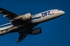 20151205-151121-0-NIKON D810