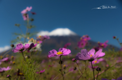 NIKON D810-20151018-091303-0