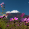 NIKON D810-20151018-091303-0