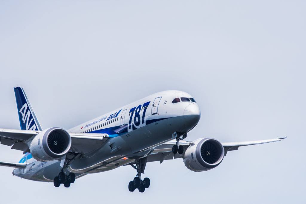 NIKON D7200-20150628-130438-0