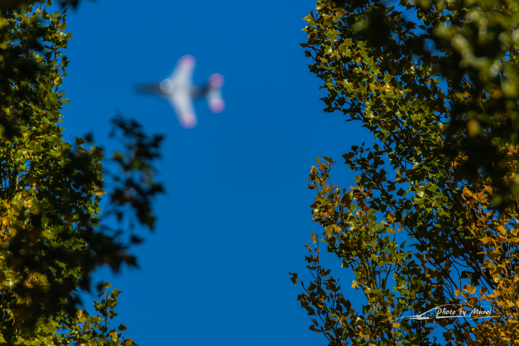 20151103-101229-0-NIKON D7200