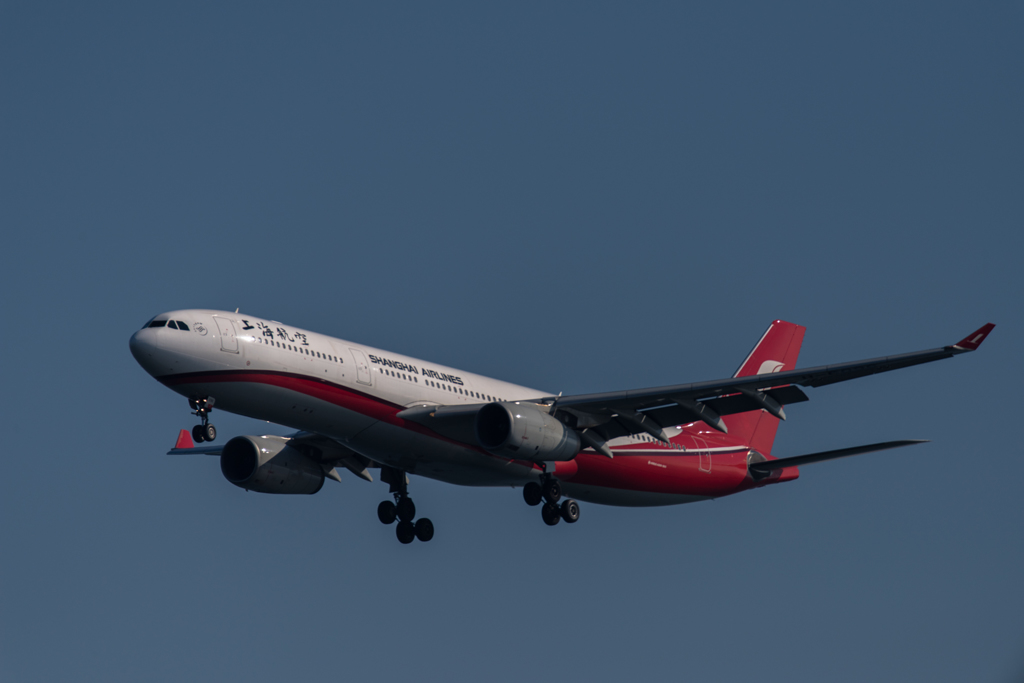 20160116-123803-0-NIKON D810