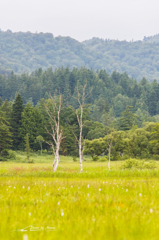 NIKON D810-20150822-061844-0
