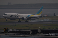 NIKON D810-20151010-103318-0