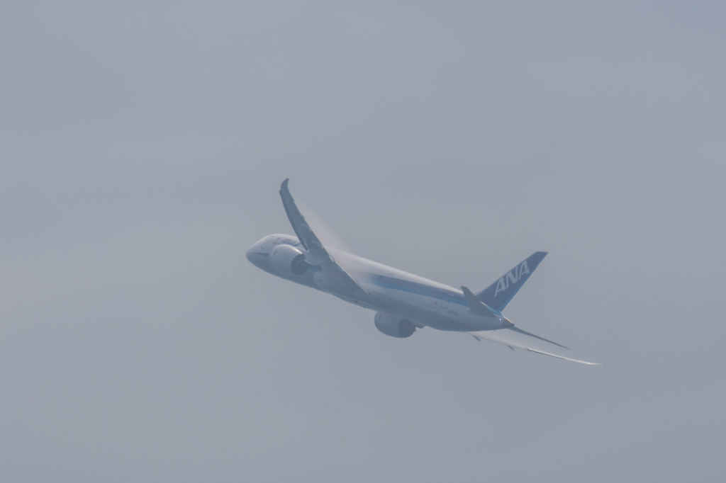 NIKON D7200-20150815-083659-0