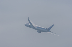 NIKON D7200-20150815-083659-0