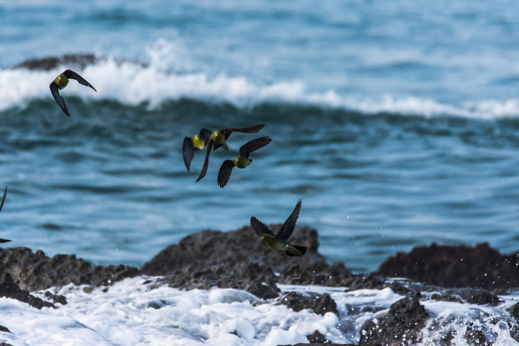 NIKON D7200-20150725-064025-0