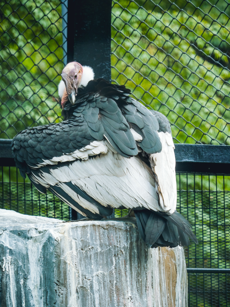 E-M5MarkII-20150814-113837-0