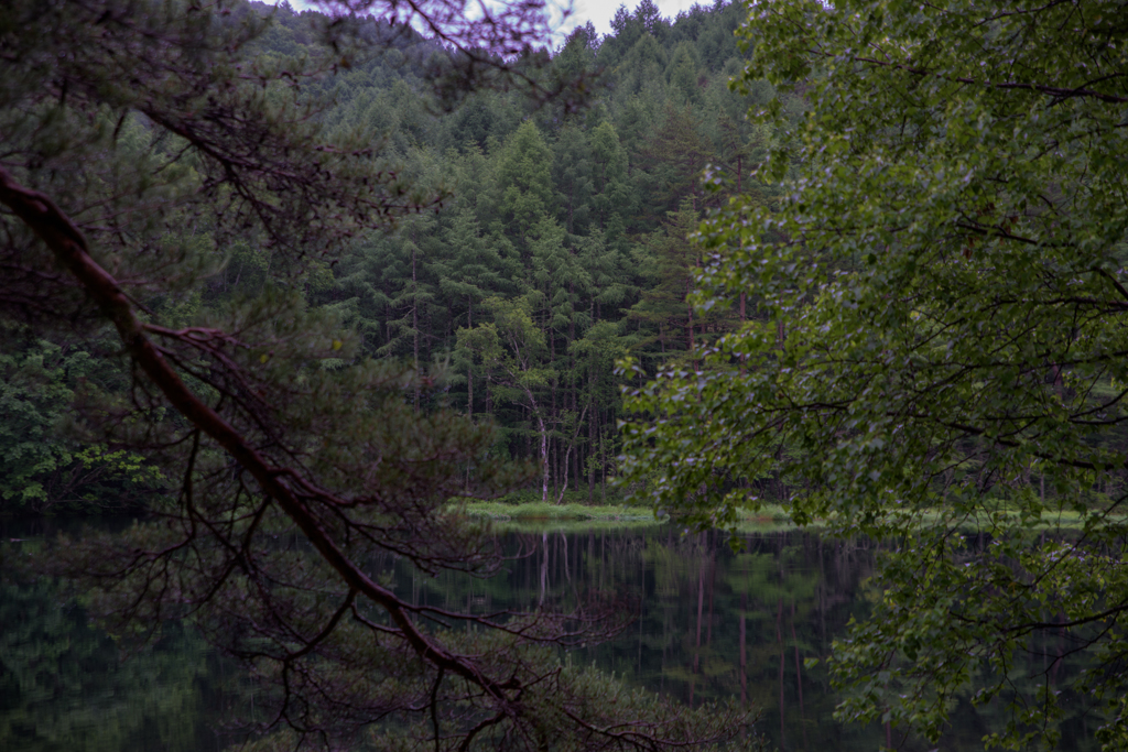 NIKON D810-20150704-051751-0