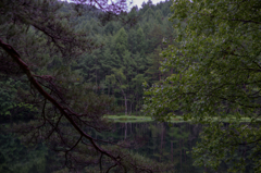 NIKON D810-20150704-051751-0
