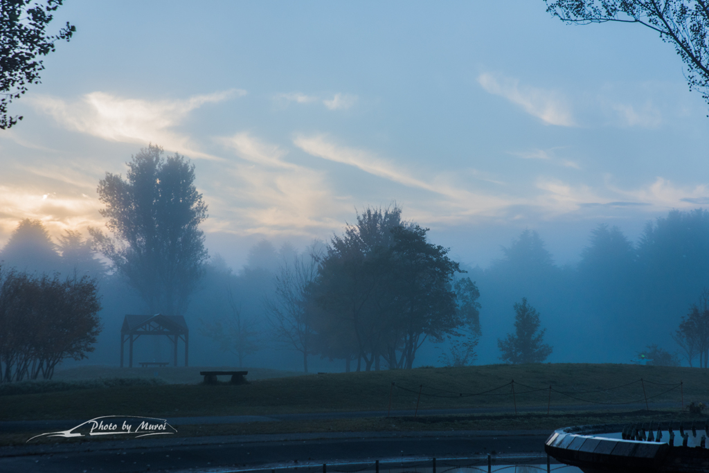 20151103-063510-0-NIKON D810