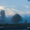 20151103-063510-0-NIKON D810