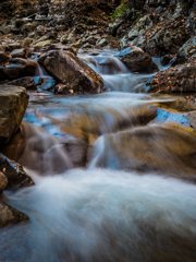 E-M5MarkII-20151025-095849-0