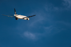 20151205-152159-0-NIKON D810