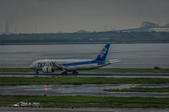 NIKON D7200-20150830-121835-0