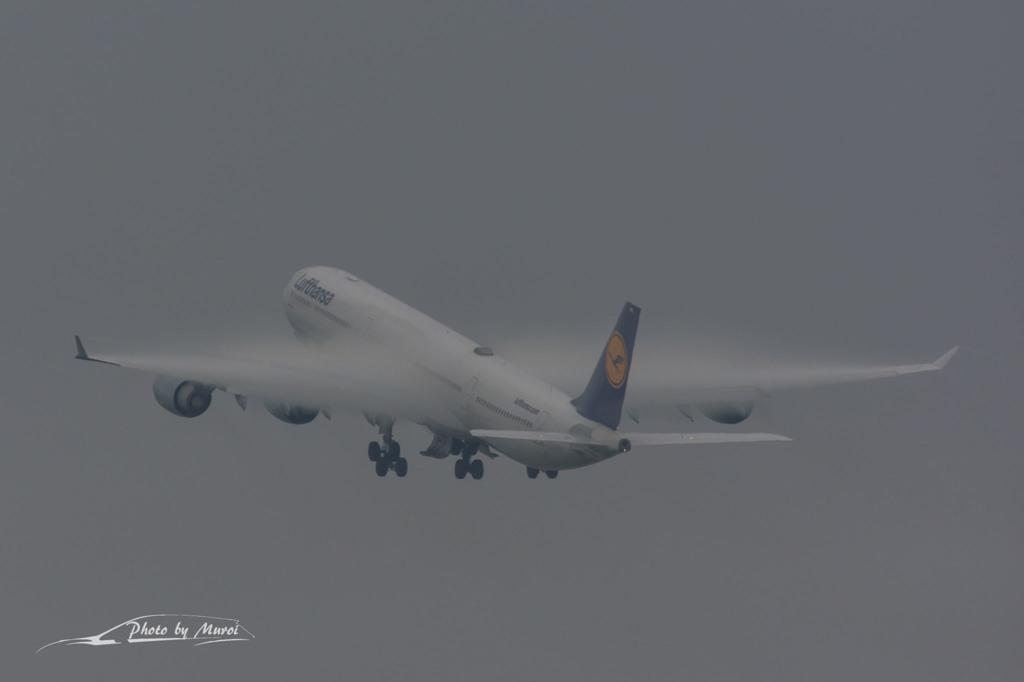 NIKON D7200-20150830-123734-0