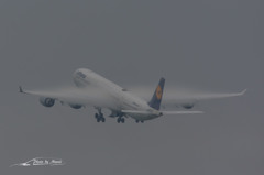 NIKON D7200-20150830-123734-0