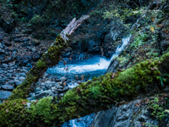 E-M5MarkII-20151025-094010-0