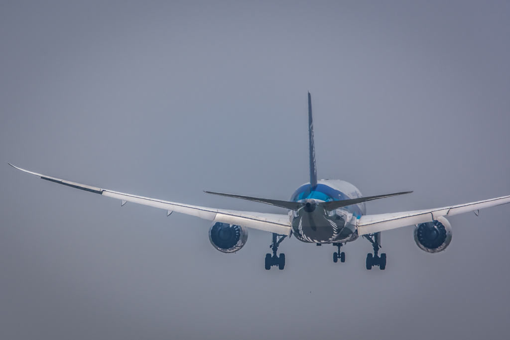 NIKON D7200-20150711-124902-0