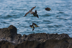 NIKON D7200-20150725-062617-1