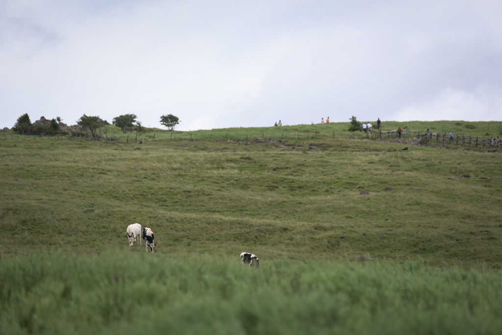 NIKON D810-20150719-111748-0