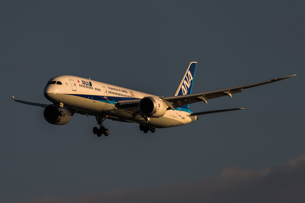 20151220-145358-0-NIKON D810