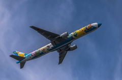 NIKON D810-20150620-092211-0