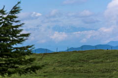 NIKON D810-20150719-104706-0
