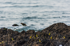 NIKON D7200-20150725-054057-0