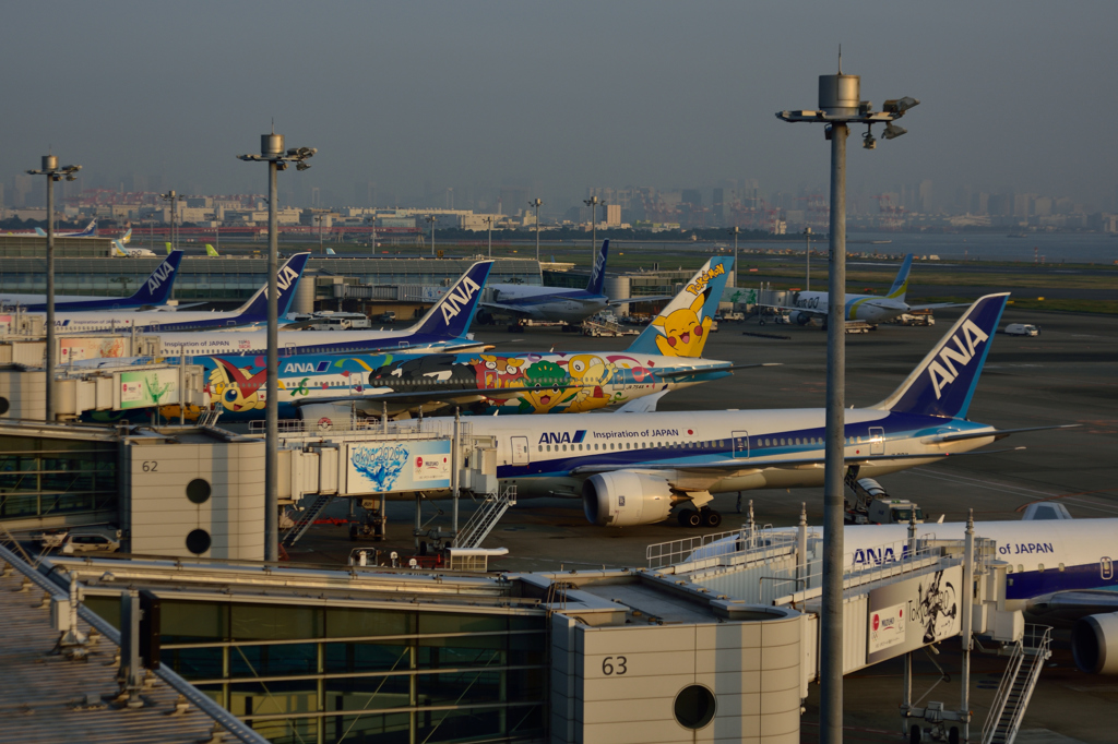 NIKON D7200-20151022-063426-0