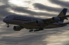 シンガポール_A380