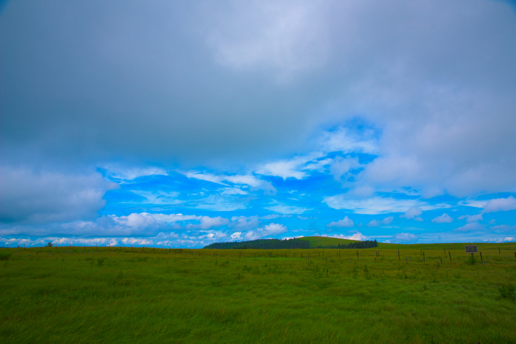 NIKON D810-20150719-115946-0