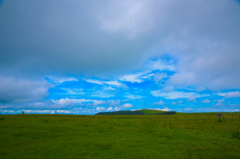 NIKON D810-20150719-115946-0