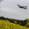 アリタリア航空