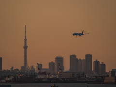 E-M5MarkII-20150604-183931-0