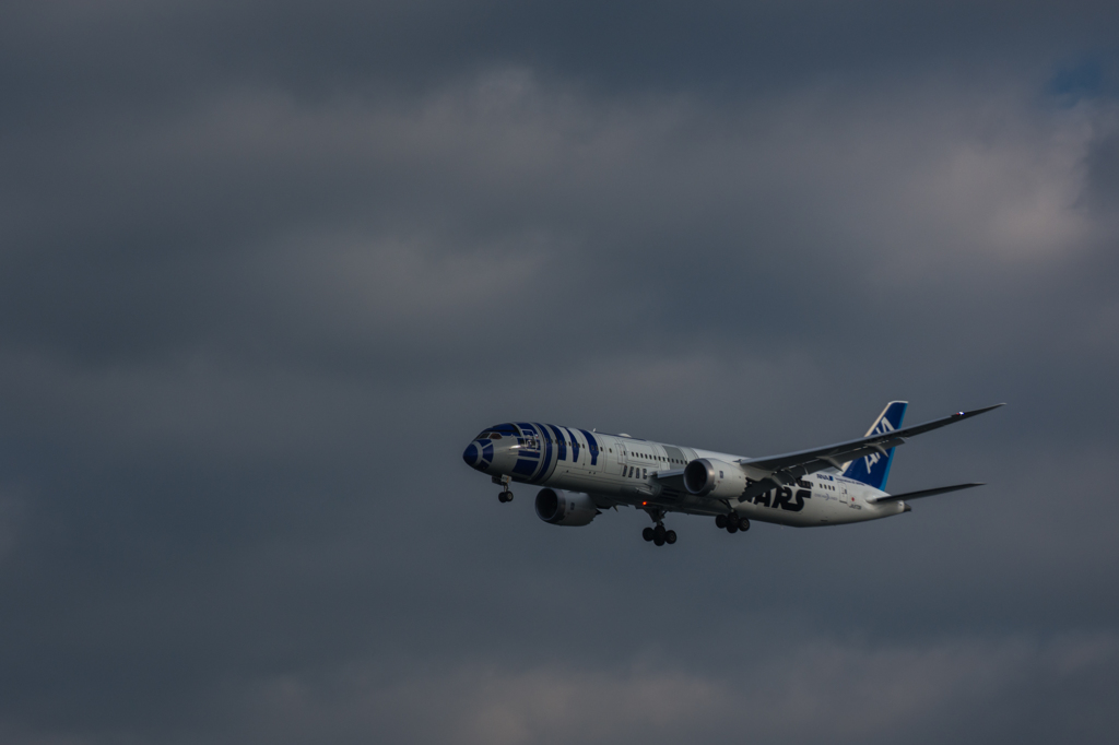 20160111-144810-0-NIKON D7200