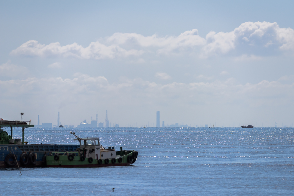 NIKON D810-20150620-083343-0