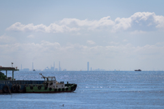 NIKON D810-20150620-083343-0