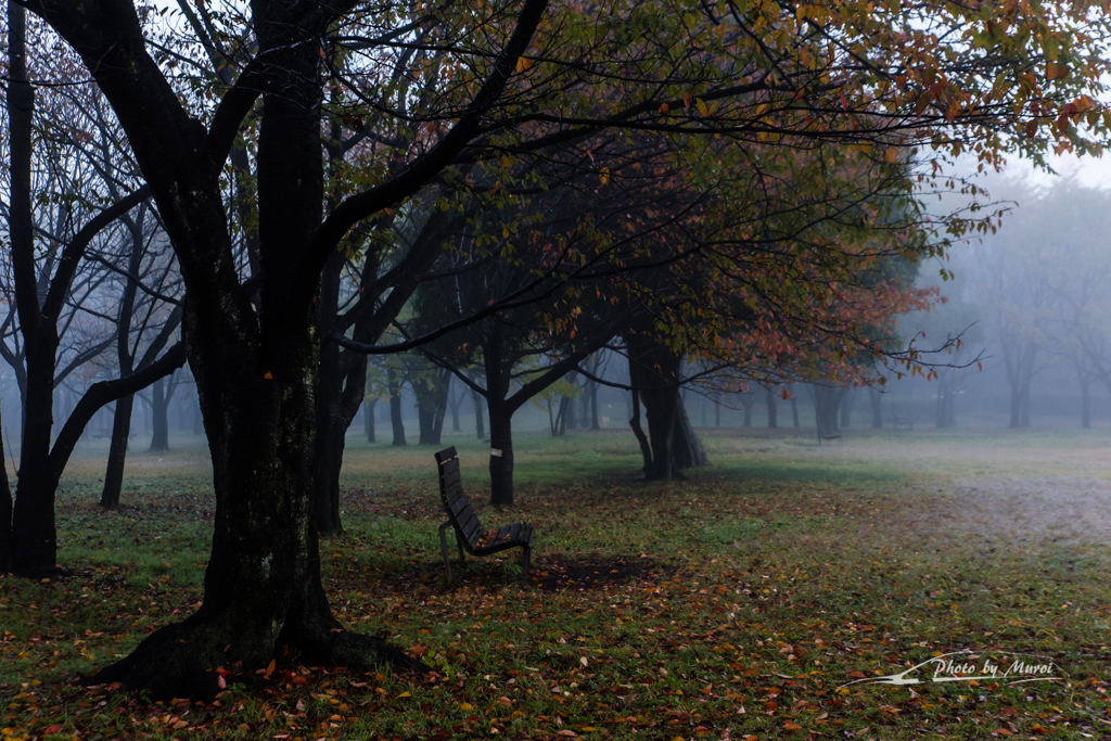 20151103-063033-0-NIKON D810