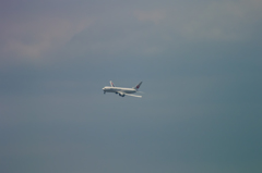 NIKON 1 V2-20150607-123505-0