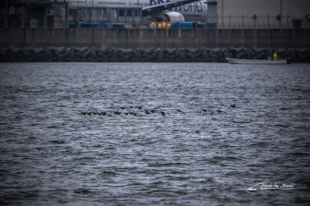 20151122-084013-0-NIKON D7200