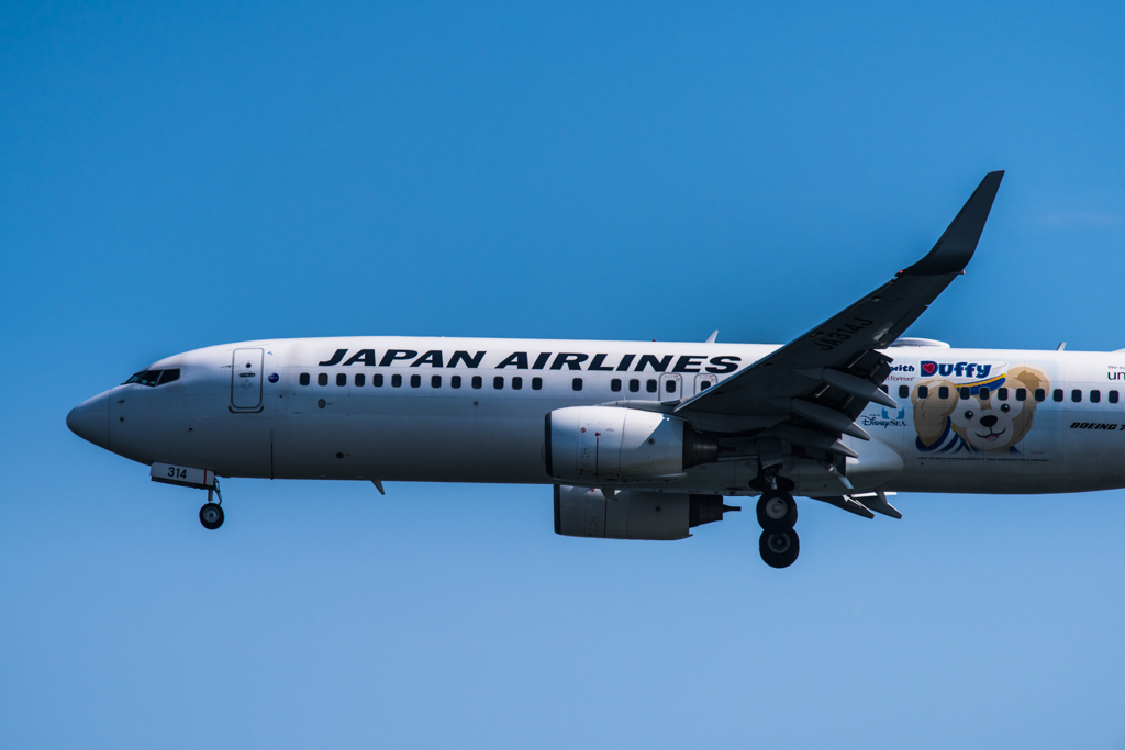 20160227-105301-0-NIKON D810