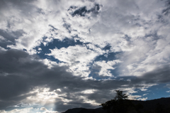 NIKON D810-20150822-064129-0