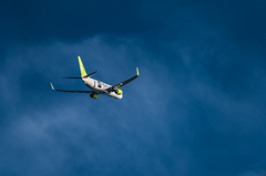 20151205-150029-0-NIKON D810