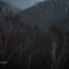 20151108-063046-0-NIKON D810