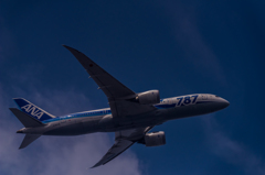 ANA787_JA803A