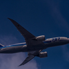 ANA787_JA803A