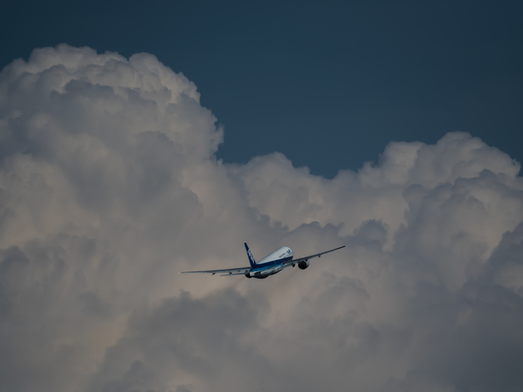 E-M5MarkII-20150607-144549-0